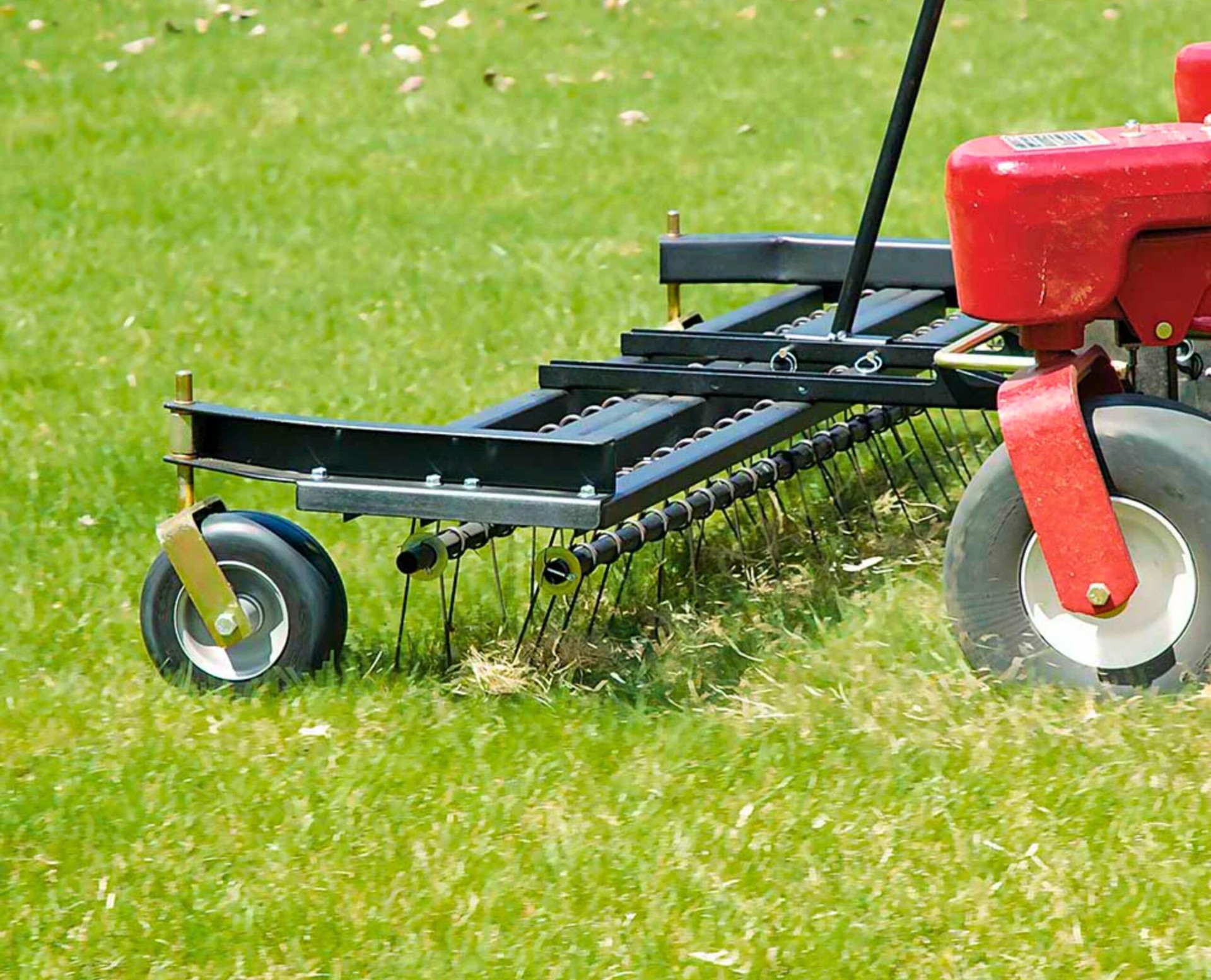 Spring Dethatching Service