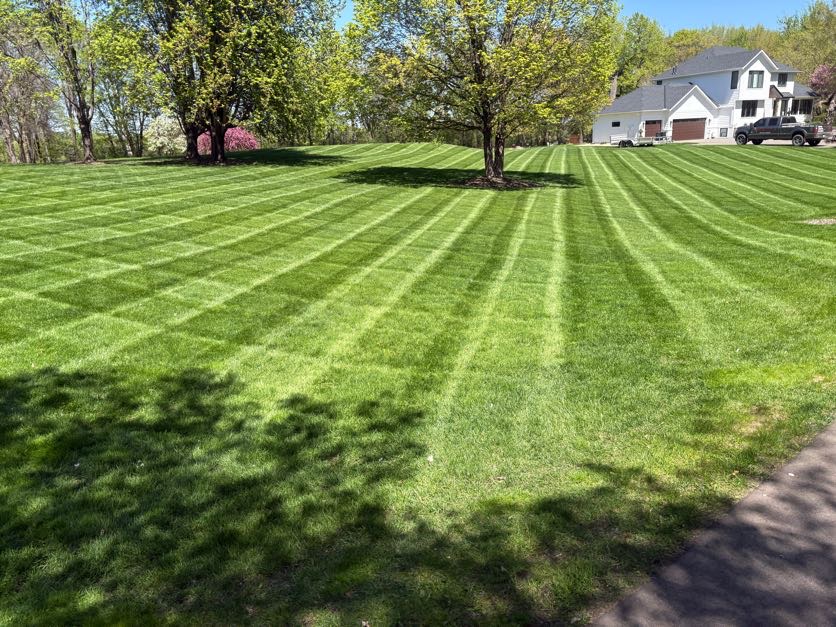 7 Common Lawn Mowing Mistakes to Avoid