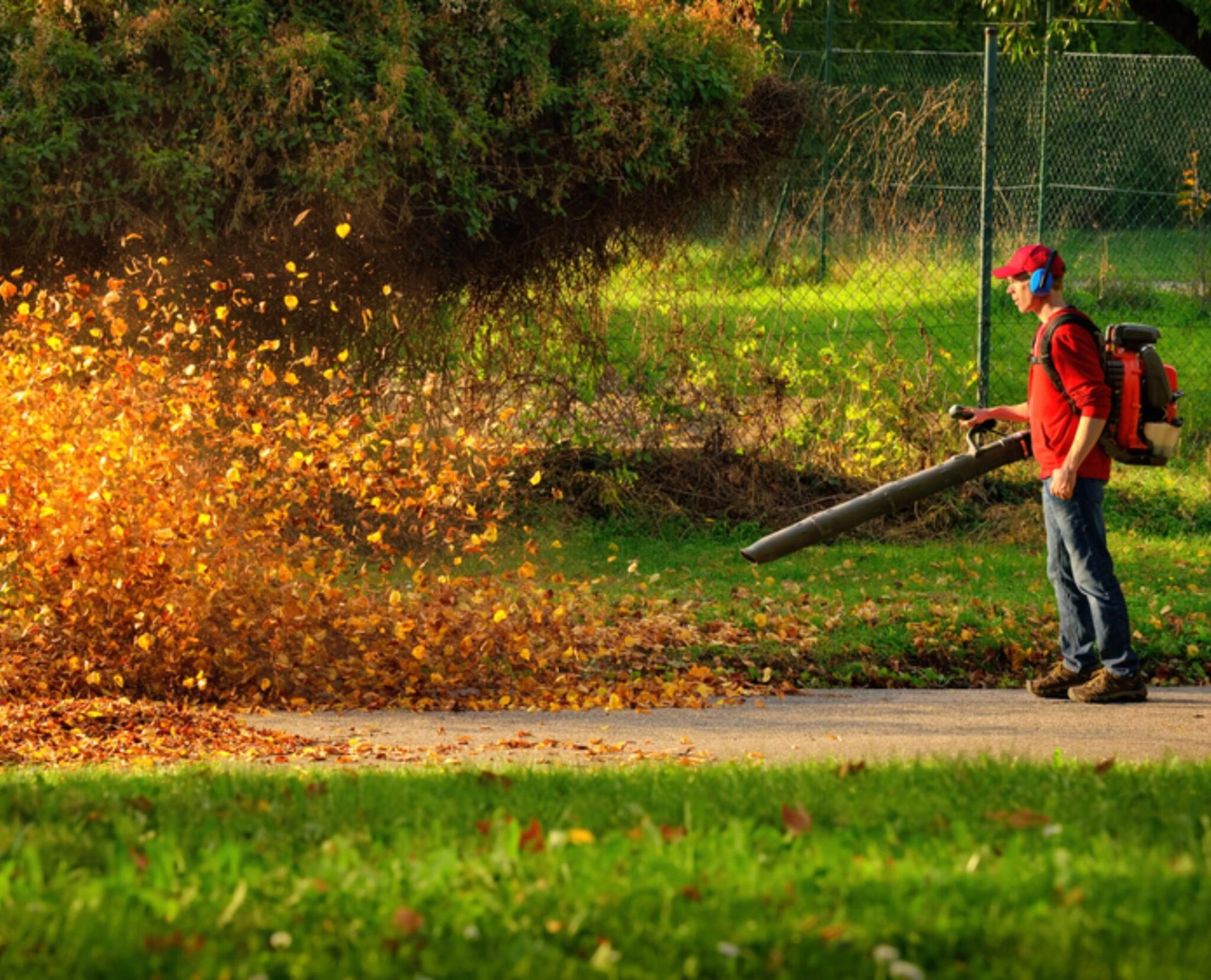 Weekly Lawn Maintenance